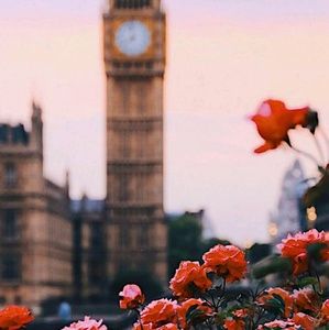 Meet your Posher, Denise